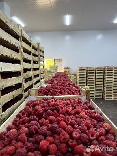 Ягоды из киргизии