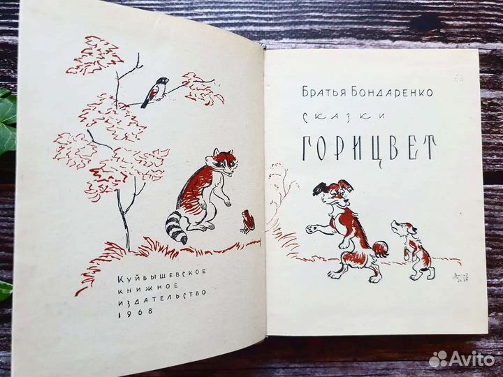 Братья Бондаренко. Горицвет 1968 г