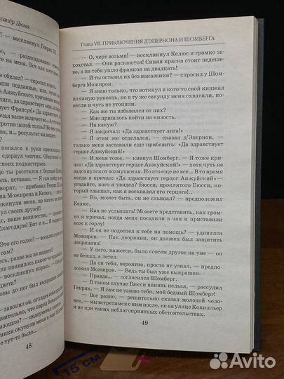 Графиня де Монсоро. В 2-х книгах. Книга 2