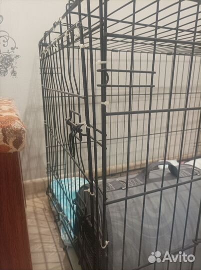 Клетка вольер