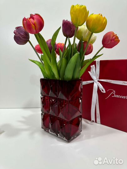 Гиппиаструм