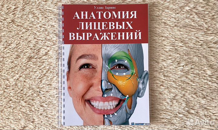 Анатомия лицевых выражений