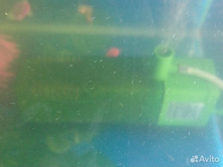 Аквариум с рыбками