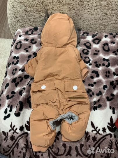 Одежда для маленьких пород собак