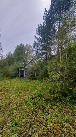 Дача 24 м² на участке 6,1 сот.