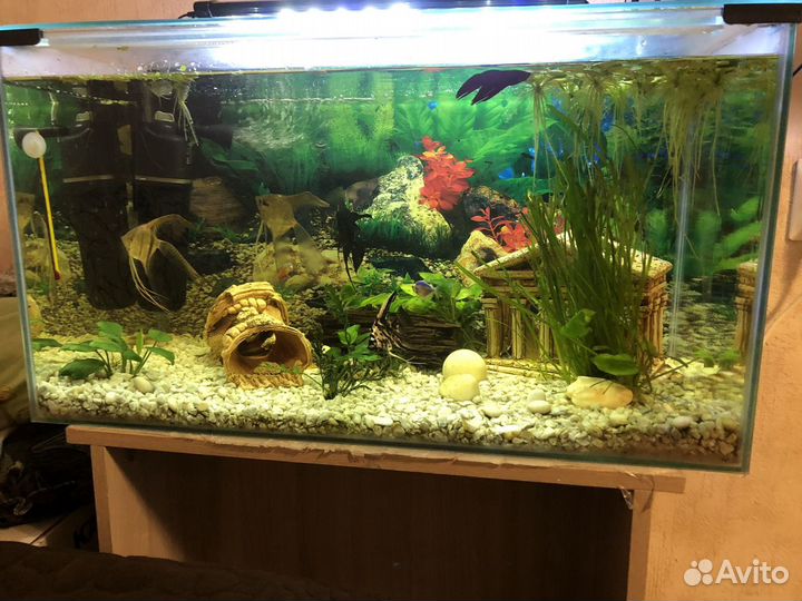 Аквариум