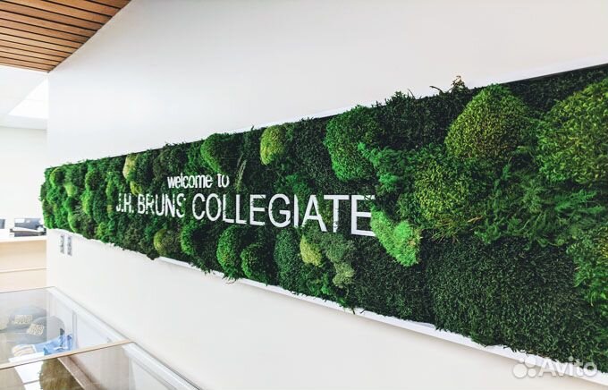 Название компании из мха с растениями