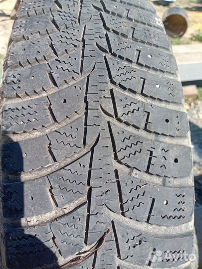 Laufenn I Fit Ice LW 71 155/70 R13