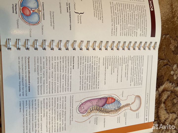 Скорая помощь. Домашний справочник неотложных сост