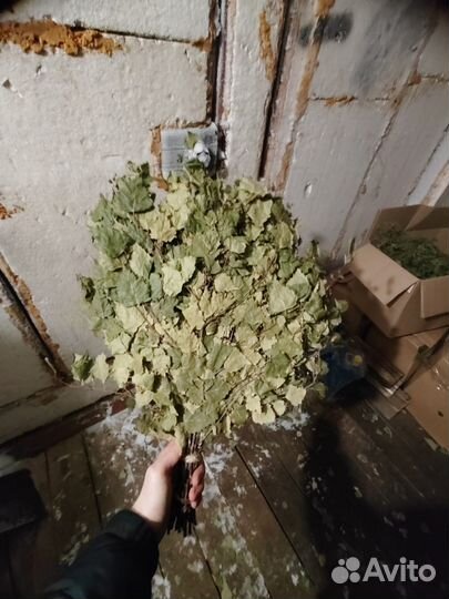 Банные веники