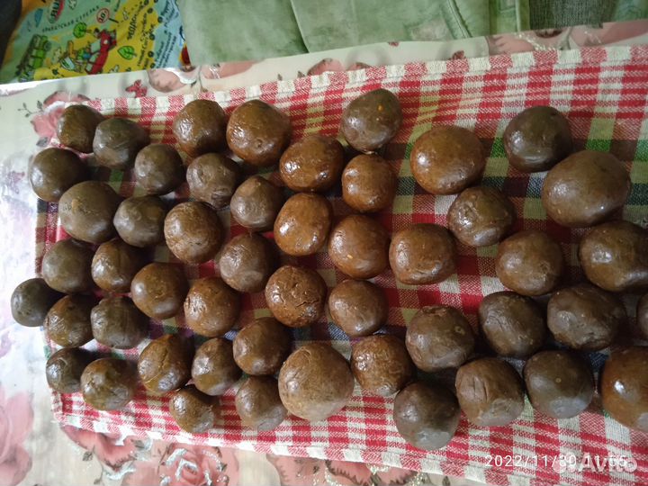 Прополис