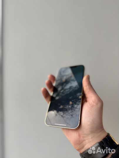 iPhone 12 Pro Max, 256 ГБ