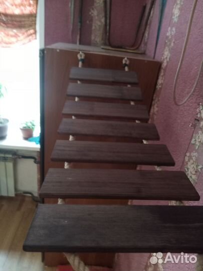 Прыгалки лазалки для котов