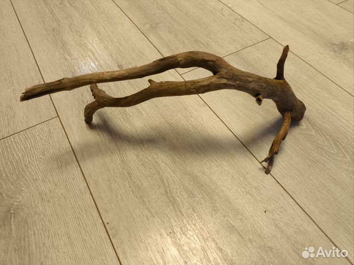 Коряга в аквариум Плющ
