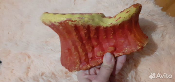 Камень ракушка