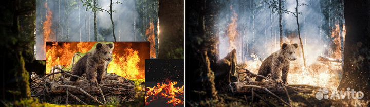 Услуги фотошопа