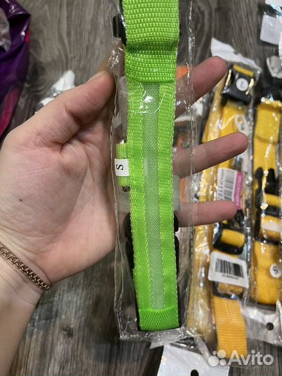 Светящиеся ошейники для животных