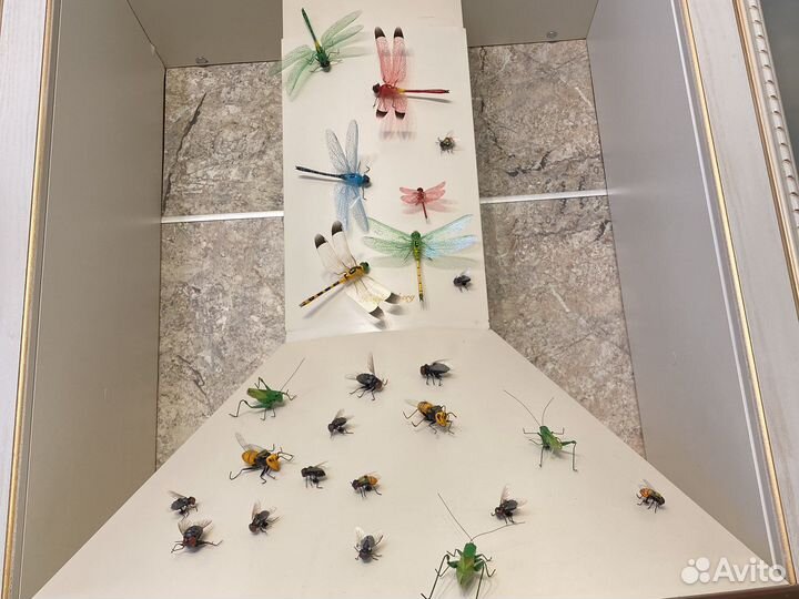 Насекомые реалистические Нидерланды