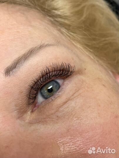 Лэшмейкер-бровист