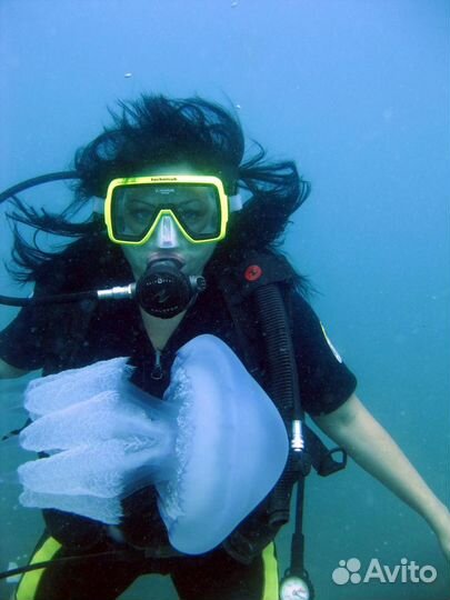 Дайвинг с катера/берега