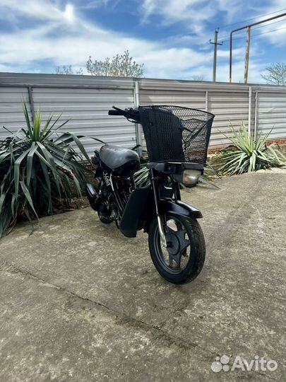 Honda lead 50 (AF-48)