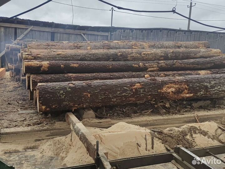 Рамщик и подсобник на ленточную пилораму