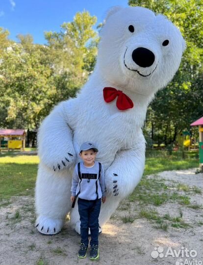 Поздравление от белого бурого мишки и чебурашки