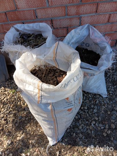 Куринный помет