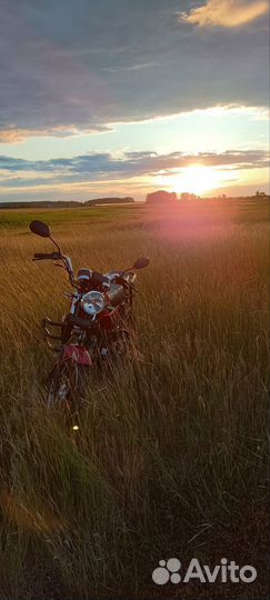 Альфа Свифт 110