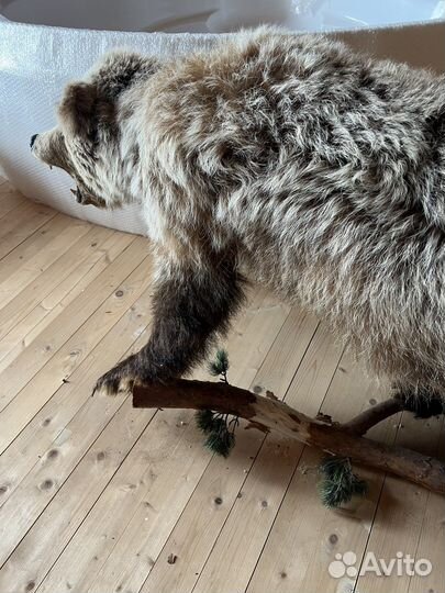 Чучело медведя имитация