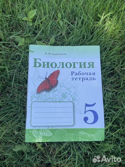 Биология рабочая тетрадь 5 класс