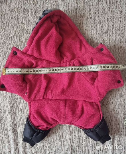 Одежда для собак маленьких пород