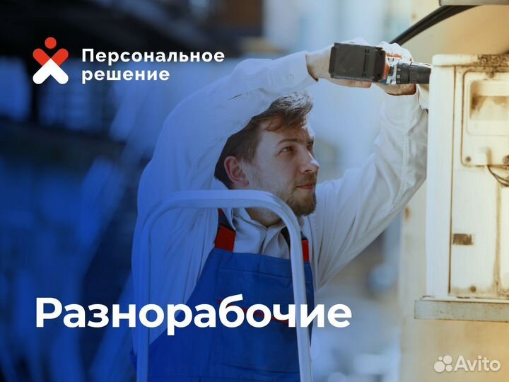 Разнорабочий / еженедельные выплаты