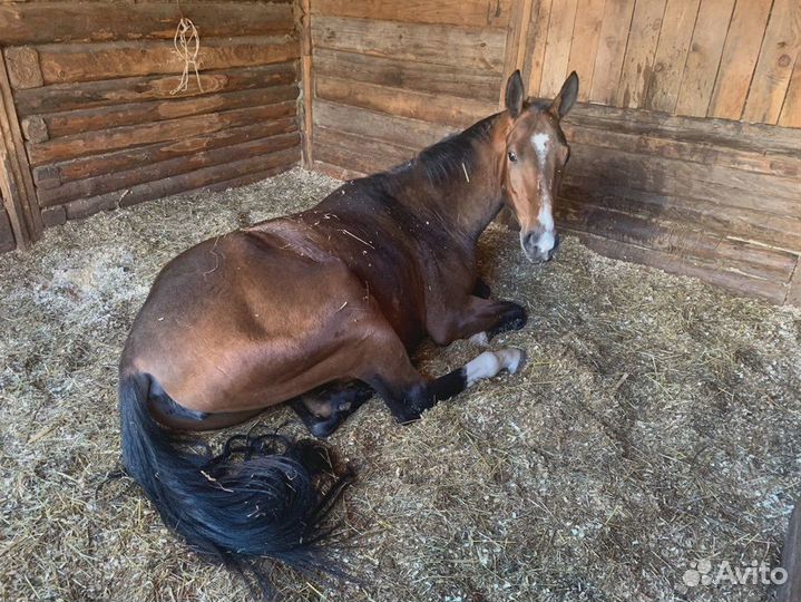 Фотографии