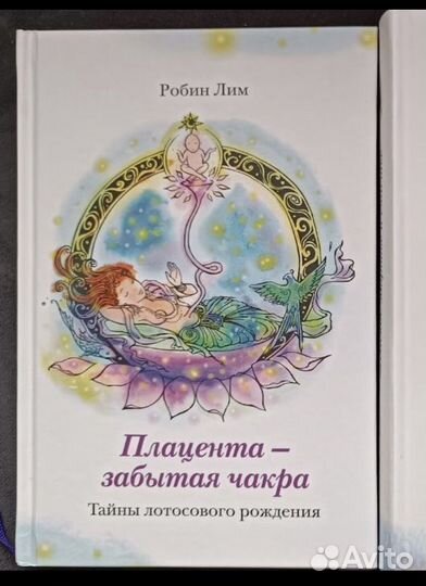 Книги: Робин Лим 