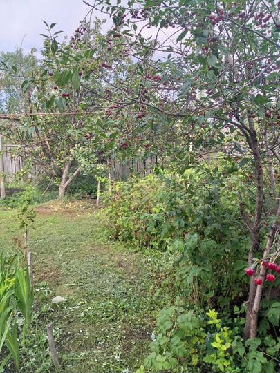 Дом 55 м² на участке 13 сот.