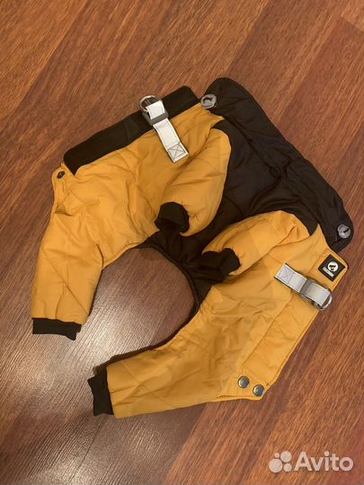 Одежда для маленьких собак