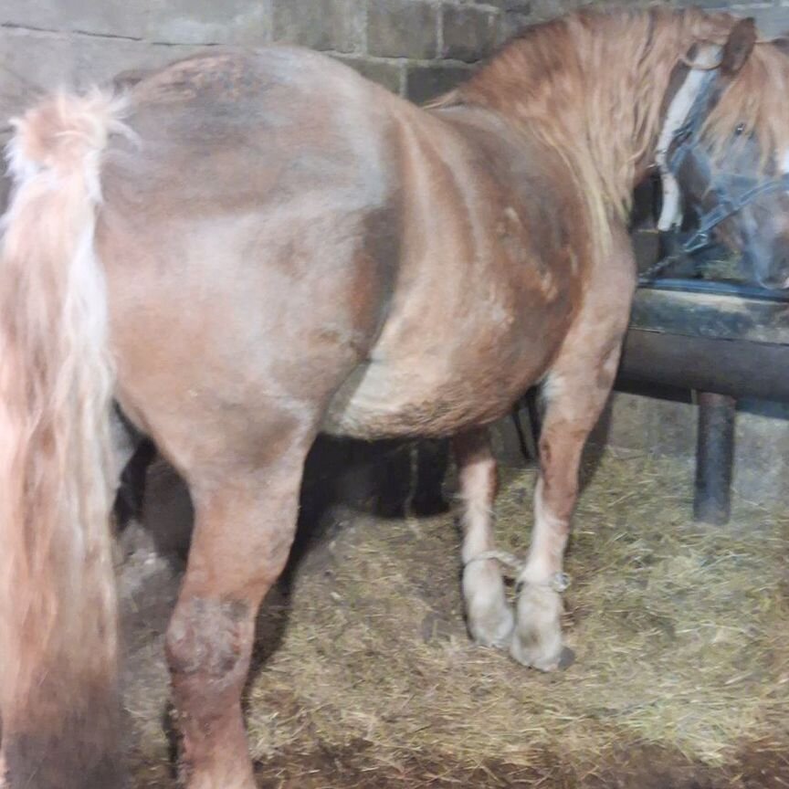 Кім минет жасағанды ұнатады?