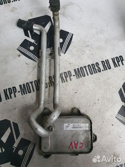 Радиатор маслянный Volkswagen caxa (03C117021J)