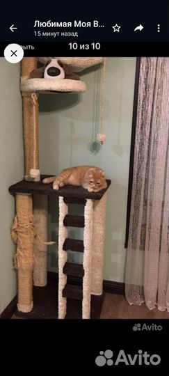 Домик для кота кошки