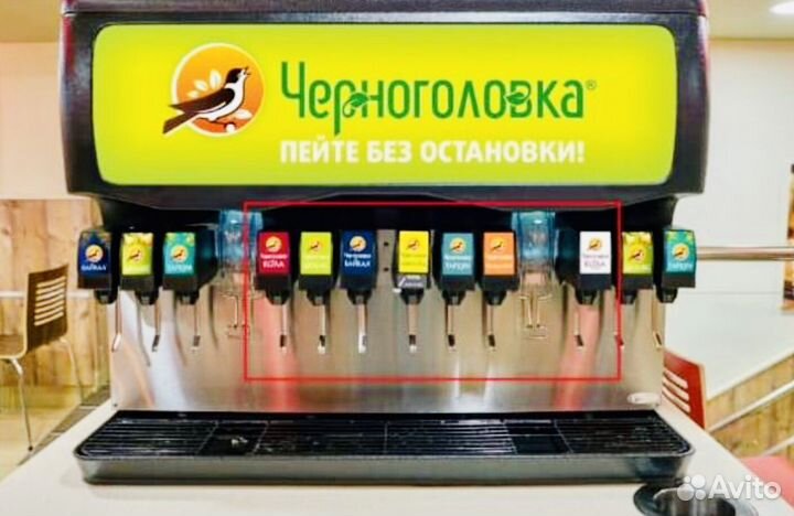 Сиропы из Черноголовки: Тархун, Дюшес, 10 л. BIB