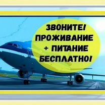 Вахта в Москве- Упаковщик чая в аэропорт Внуково