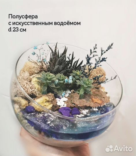 Флорариум с Водоёмом. Подарок