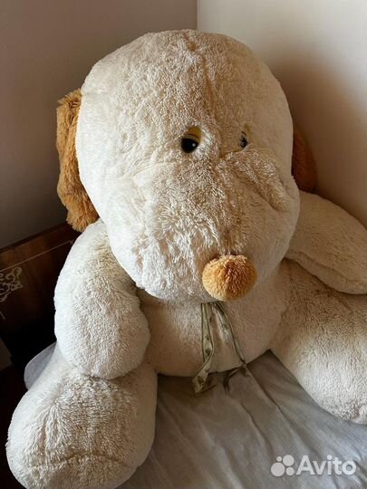 Большие плюшевые медведи