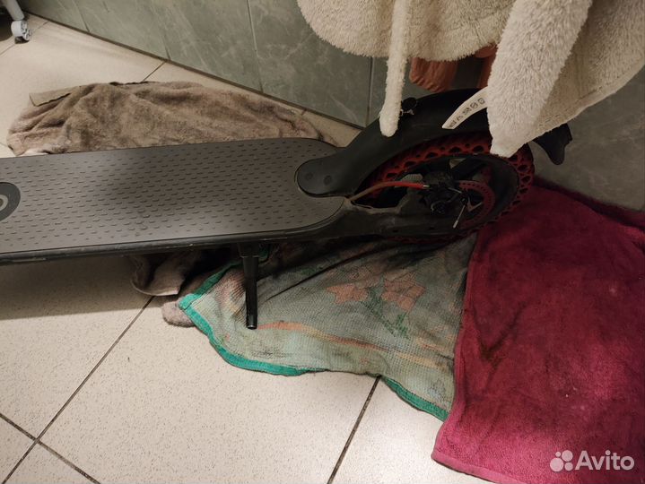 Электросамокат Xiaomi Mijia M365