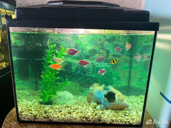 Аквариум 30 литров