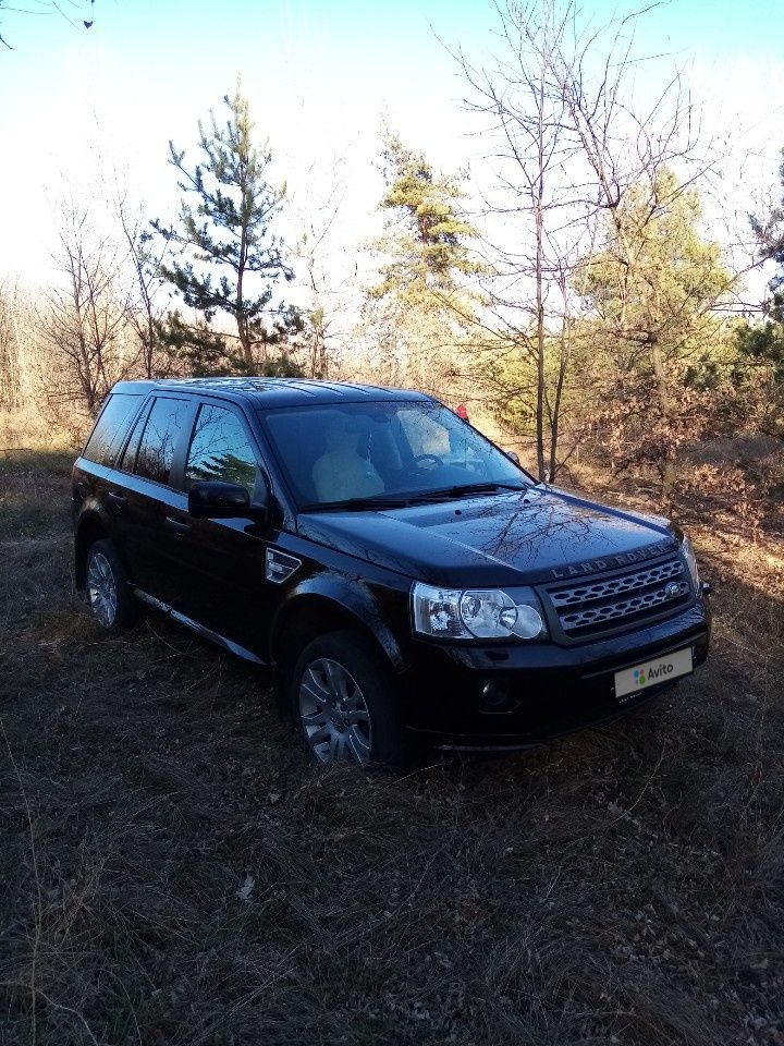 Land Rover Freelander: фото владельца