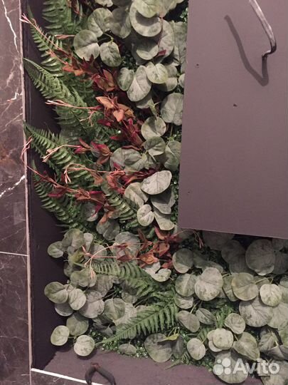 Фитостена из искусственных растений