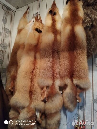 Шкуры лисы