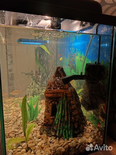 Аквариум с рыбками 50л